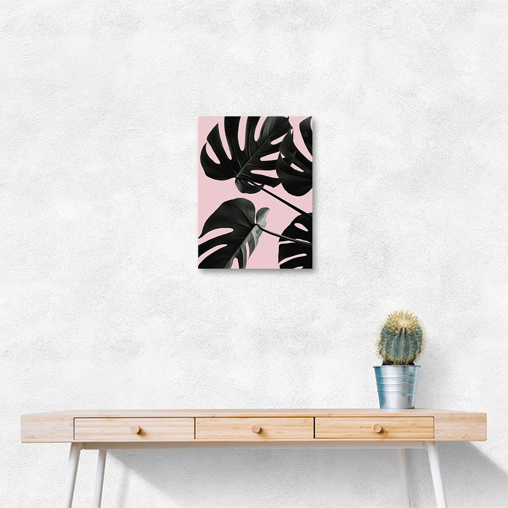 Monstera Pink No 01