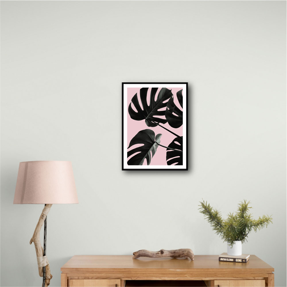 Monstera Pink No 01