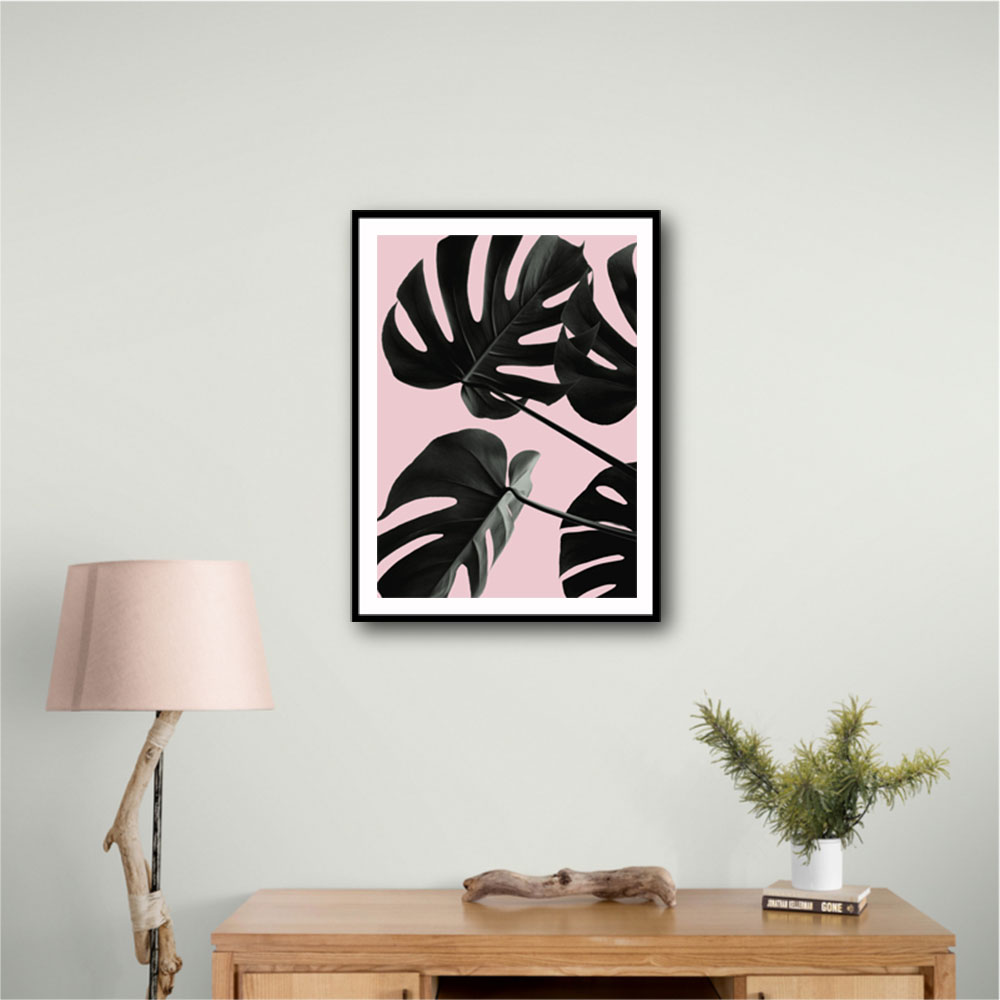 Monstera Pink No 01