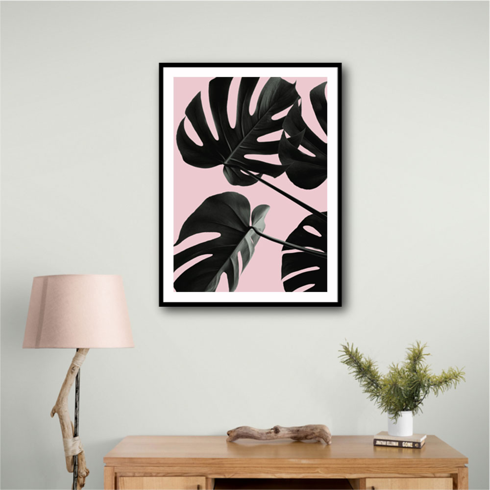 Monstera Pink No 01