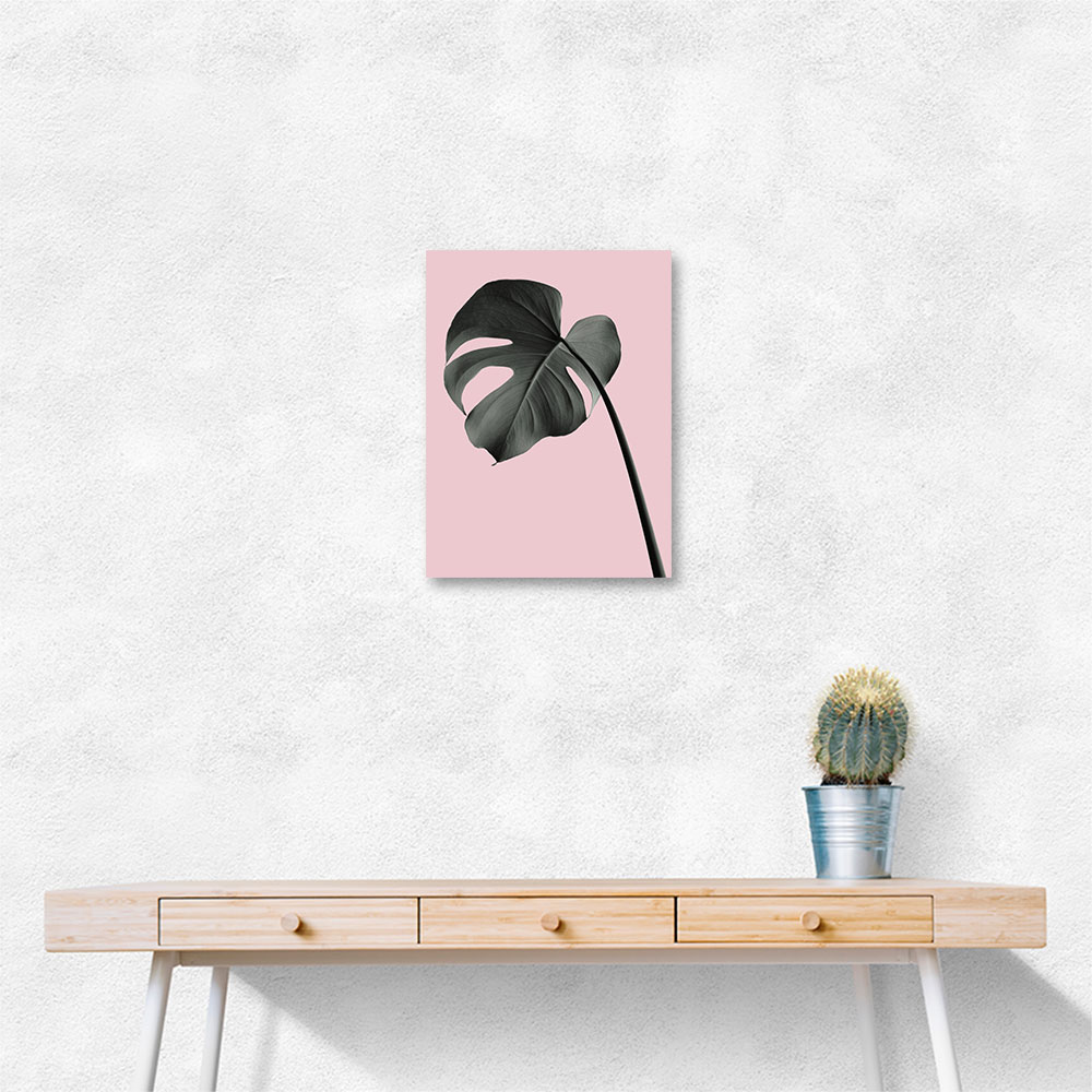 Monstera Pink No 02