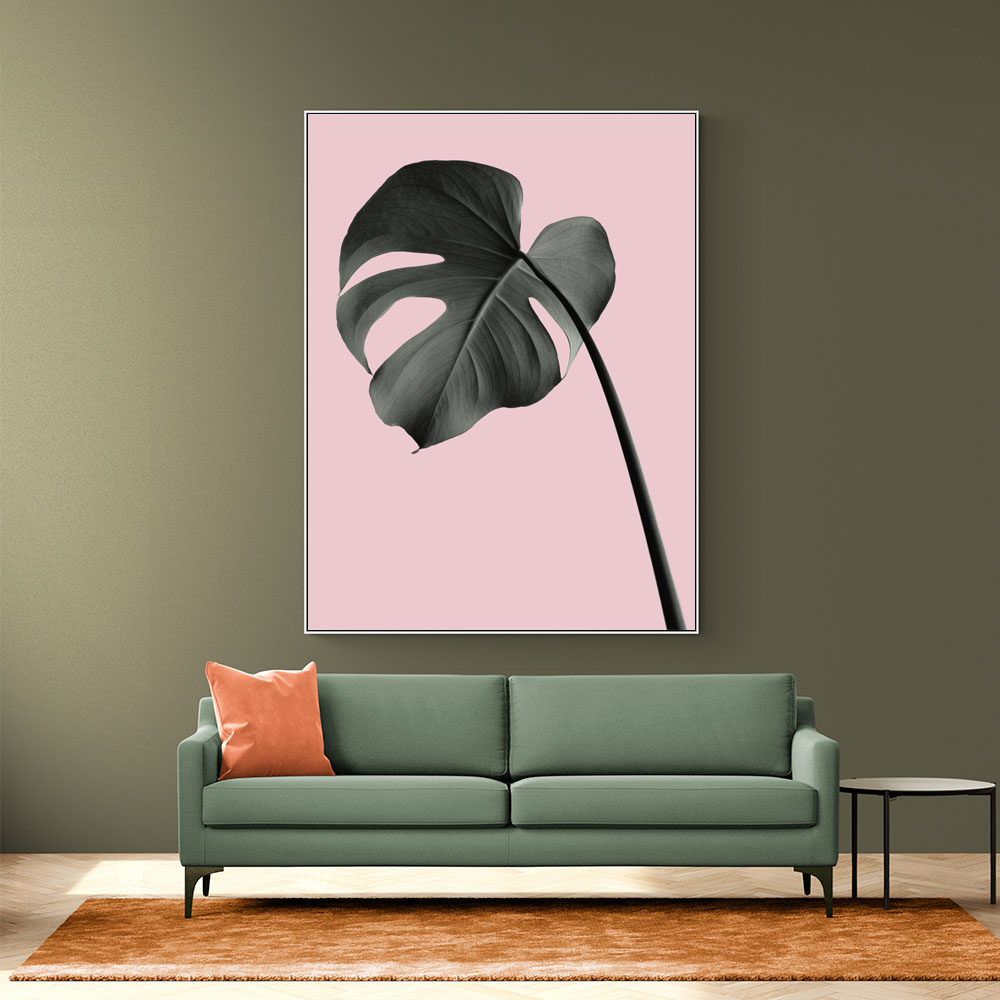 Monstera Pink No 02