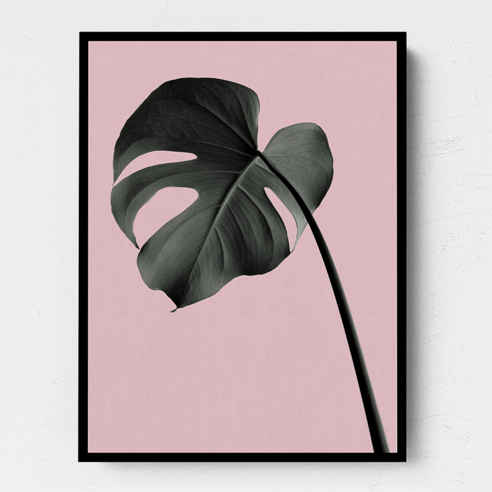 Monstera Pink No 02