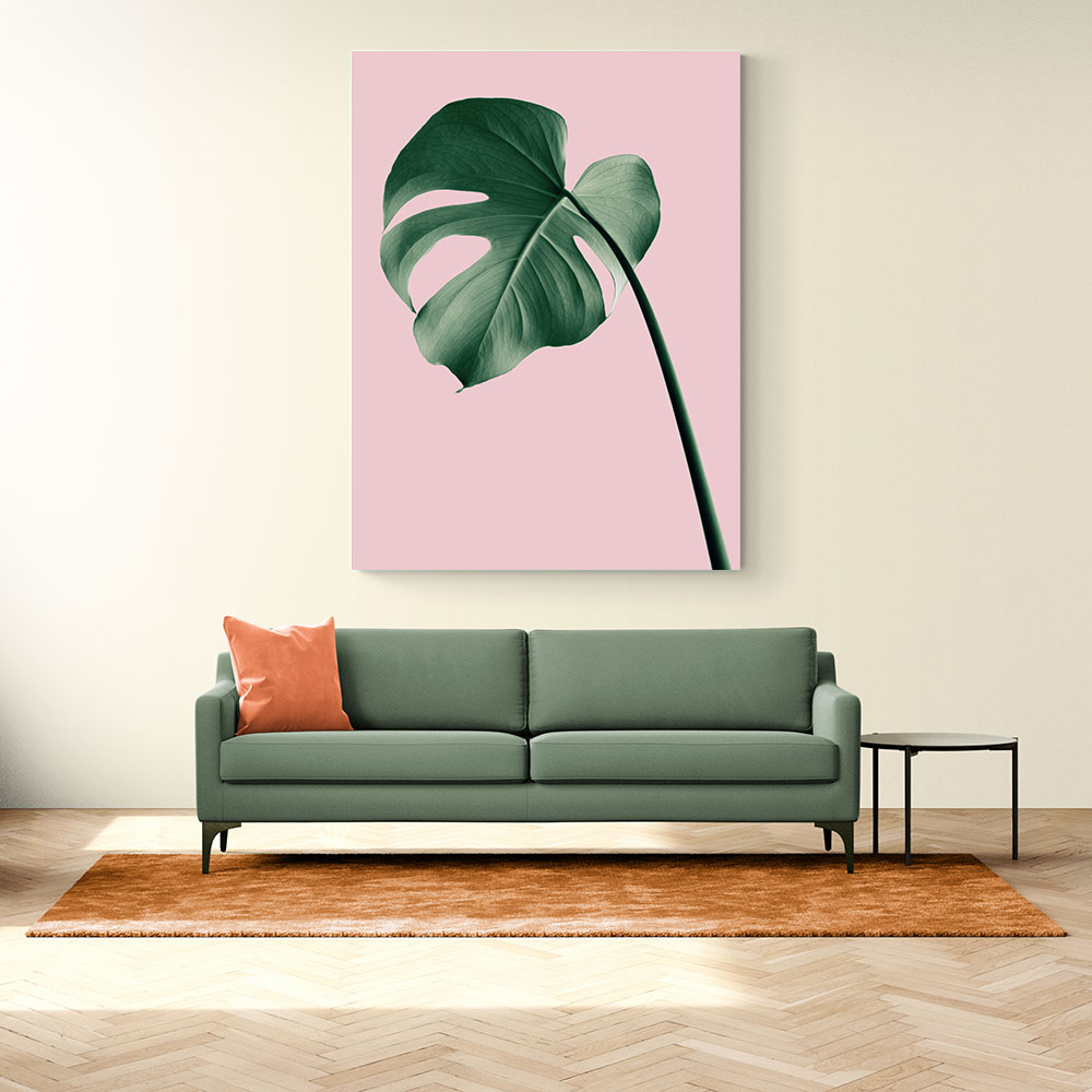 Monstera Pink No 05