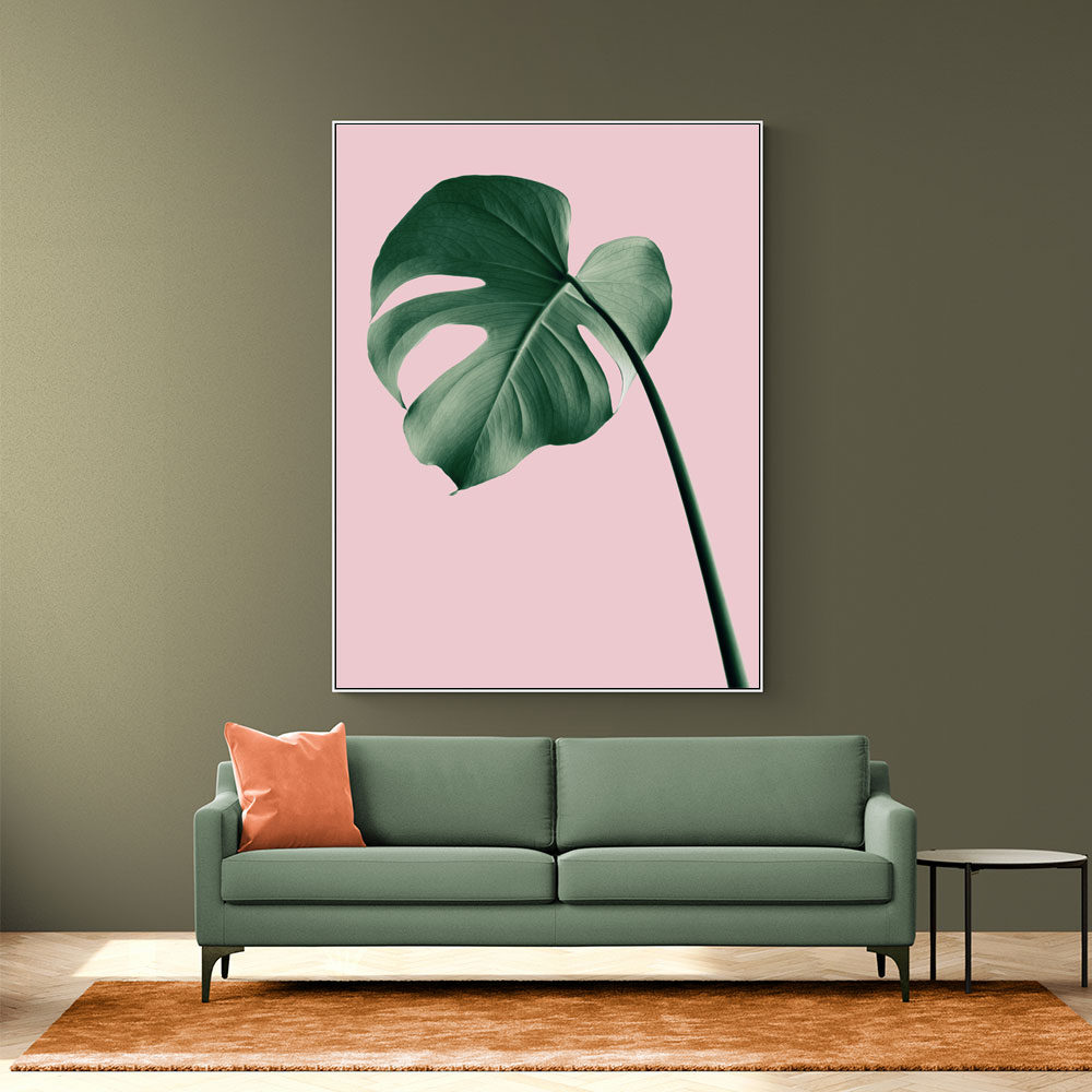 Monstera Pink No 05