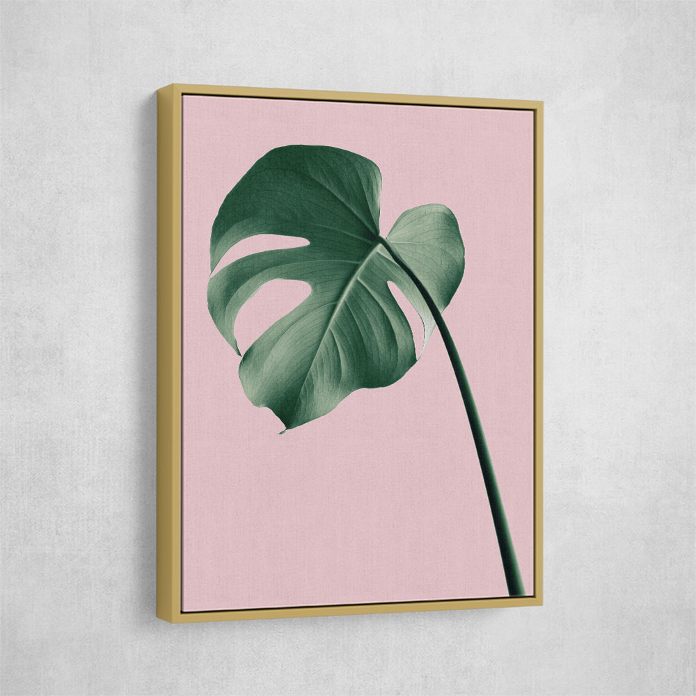 Monstera Pink No 05