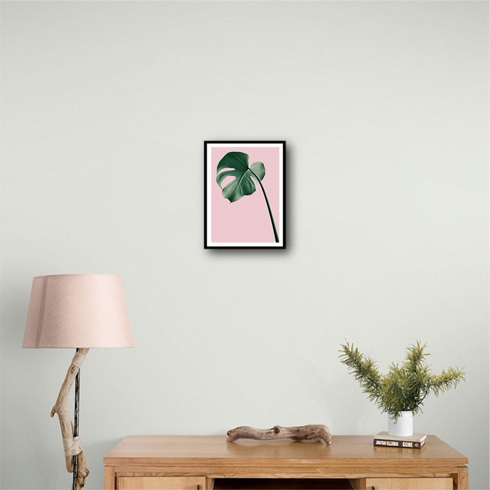 Monstera Pink No 05