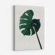 Monstera Natural 07