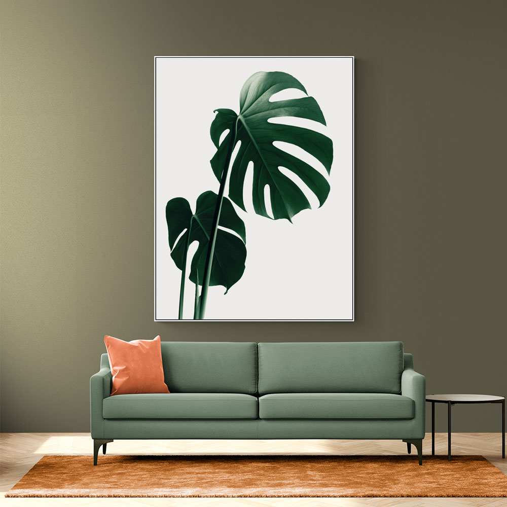 Monstera Natural 16