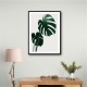 Monstera Natural 16