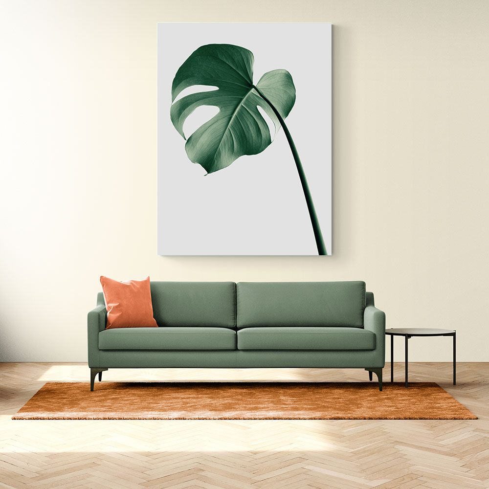 Monstera Natural 36