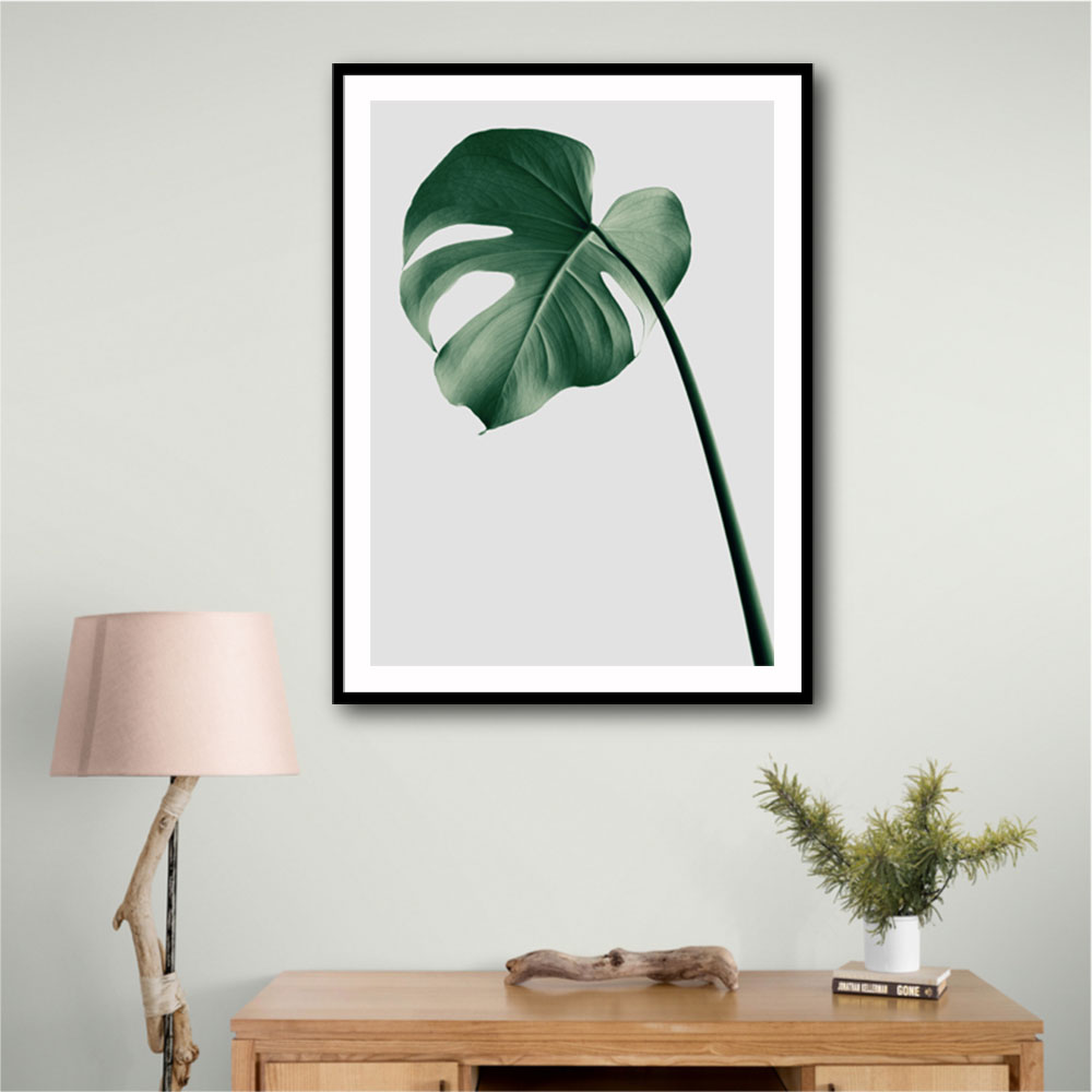 Monstera Natural 36