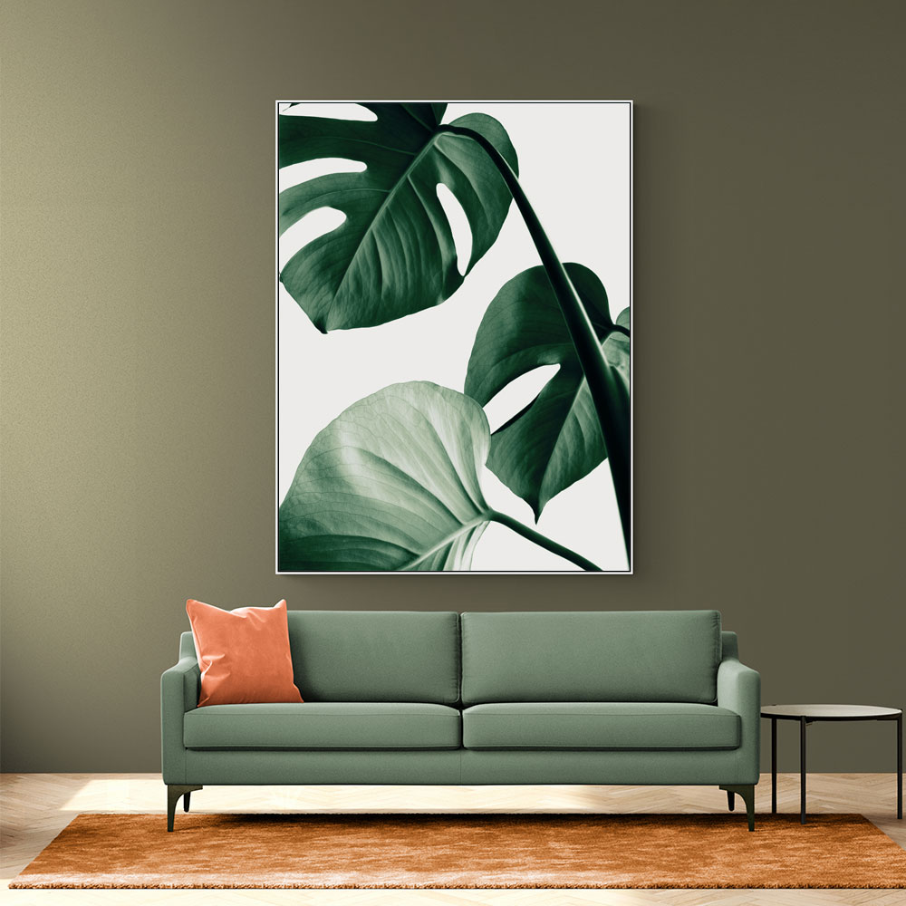 Monstera Natural 42