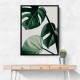 Monstera Natural 42