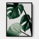 Monstera Natural 42