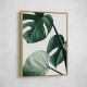 Monstera Natural 42