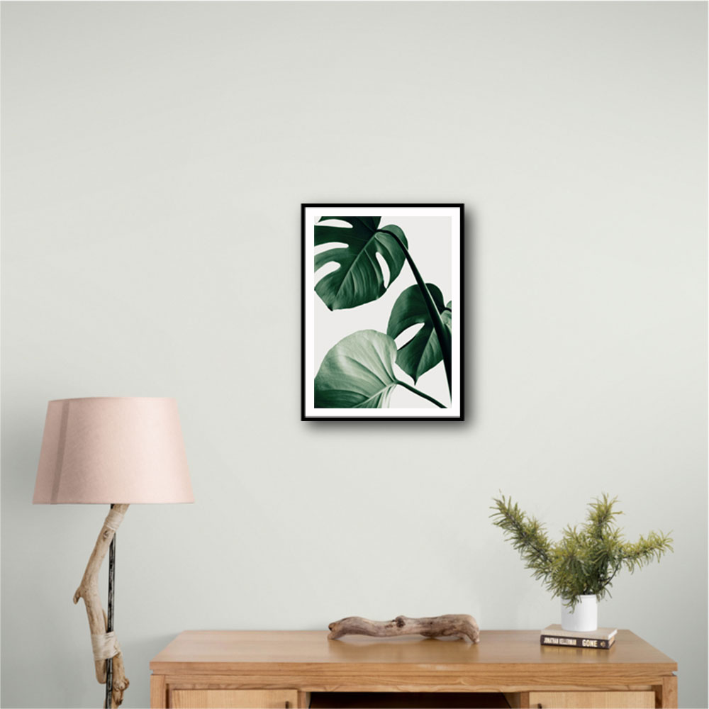 Monstera Natural 42