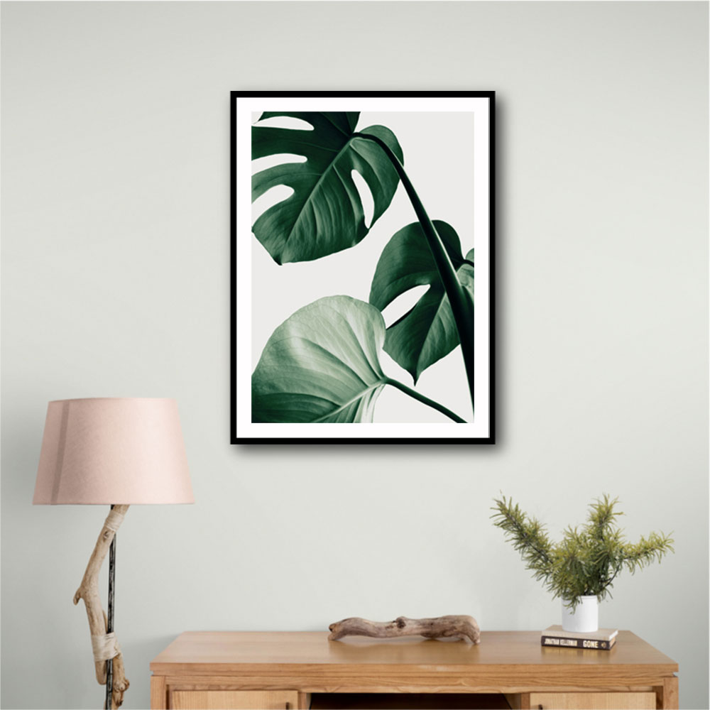 Monstera Natural 42