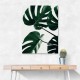 Monstera Natural 43