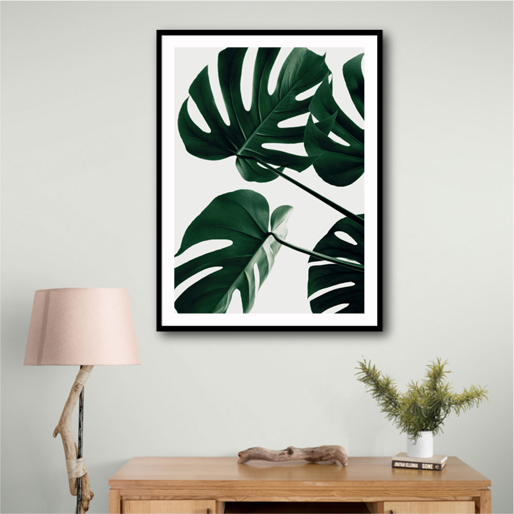 Monstera Natural 43