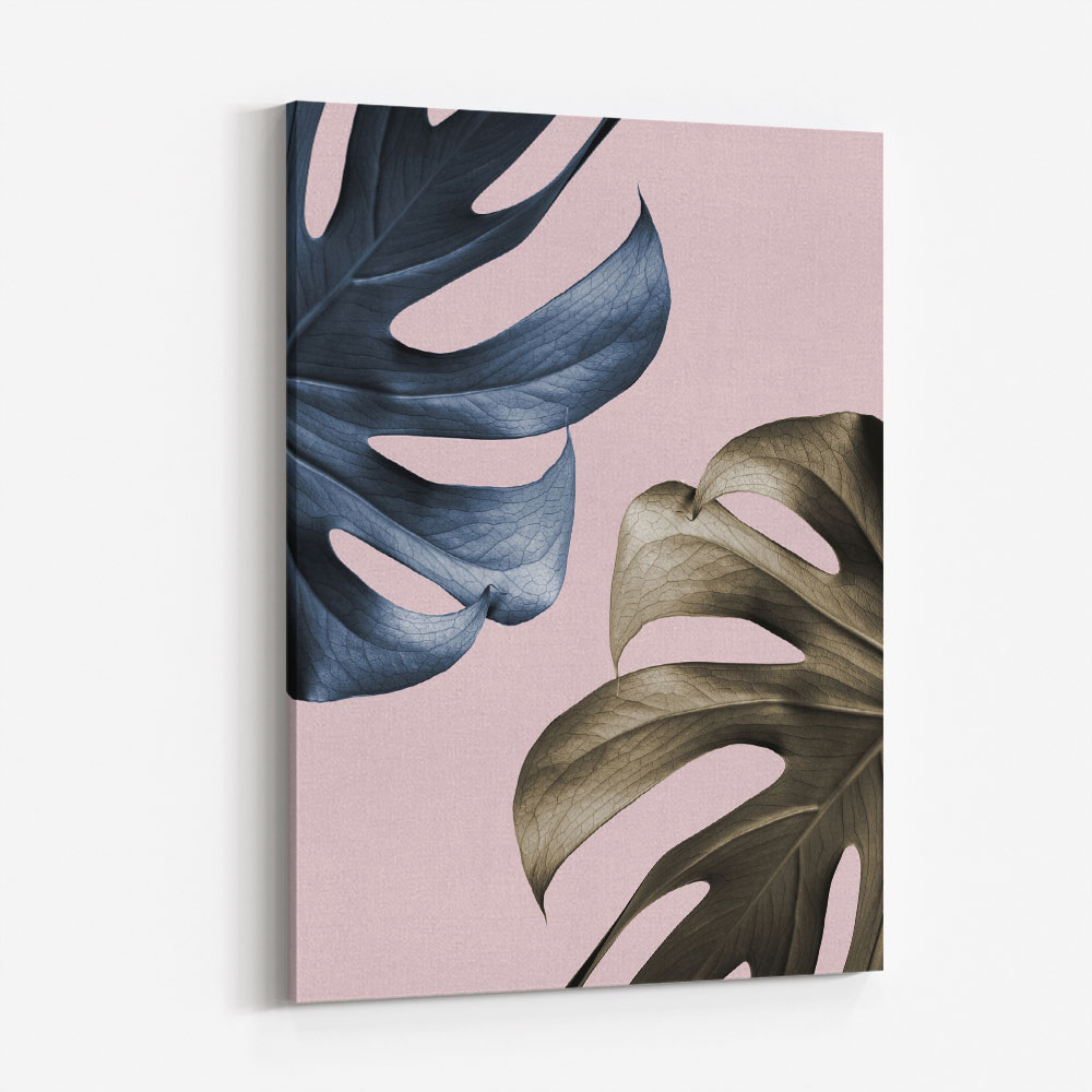 Monstera Pink Light 01