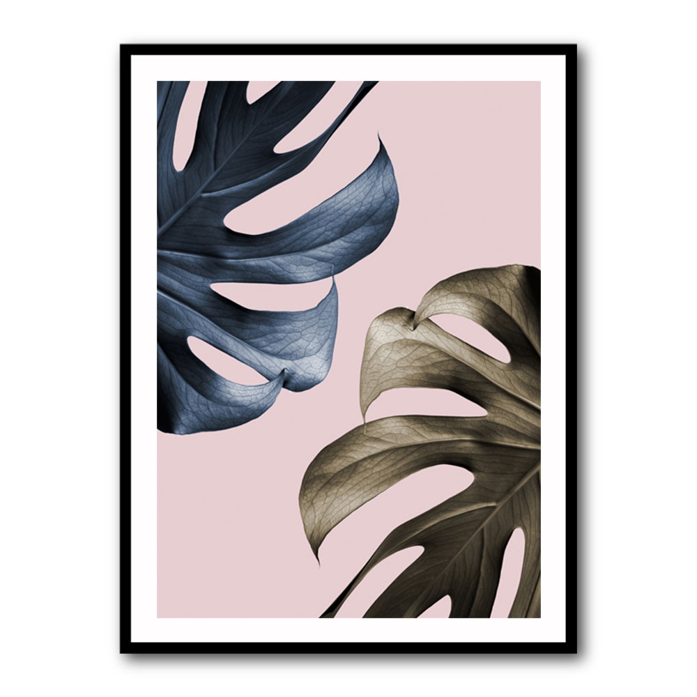 Monstera Pink Light 01