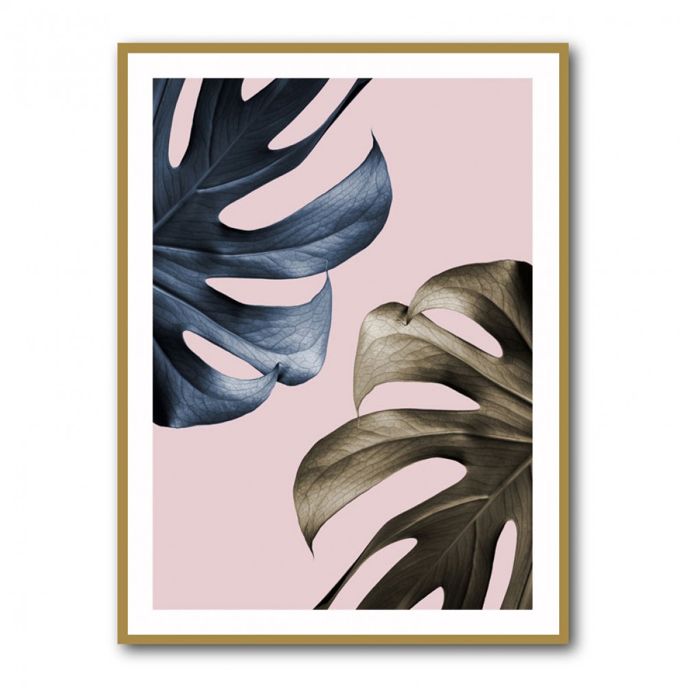 Monstera Pink Light 01