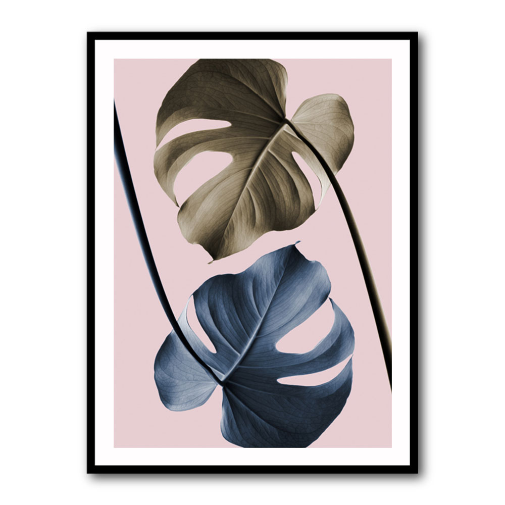 Monstera Pink Light 02