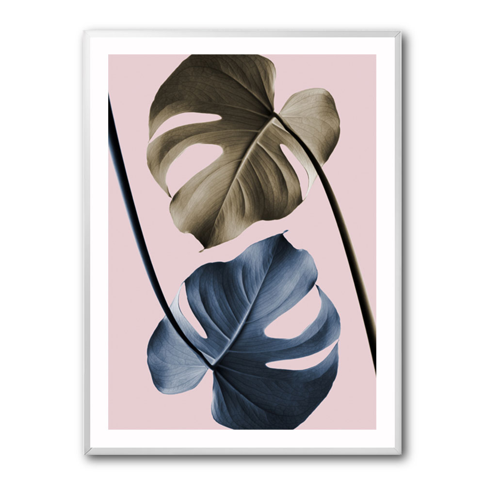 Monstera Pink Light 02