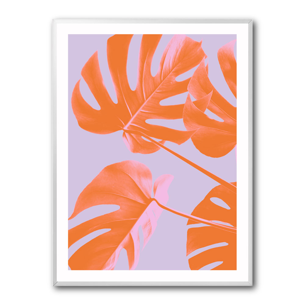 Monstera Purple 04