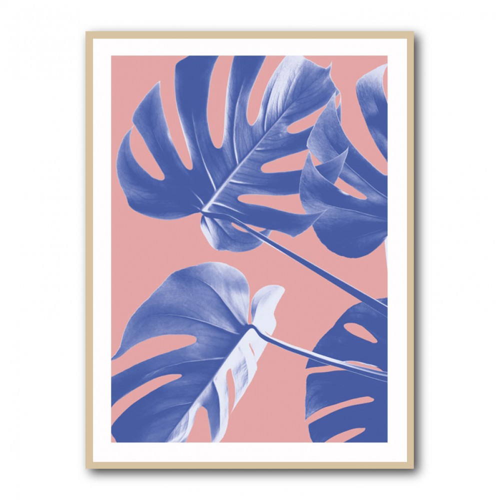 Monstera Purple 06