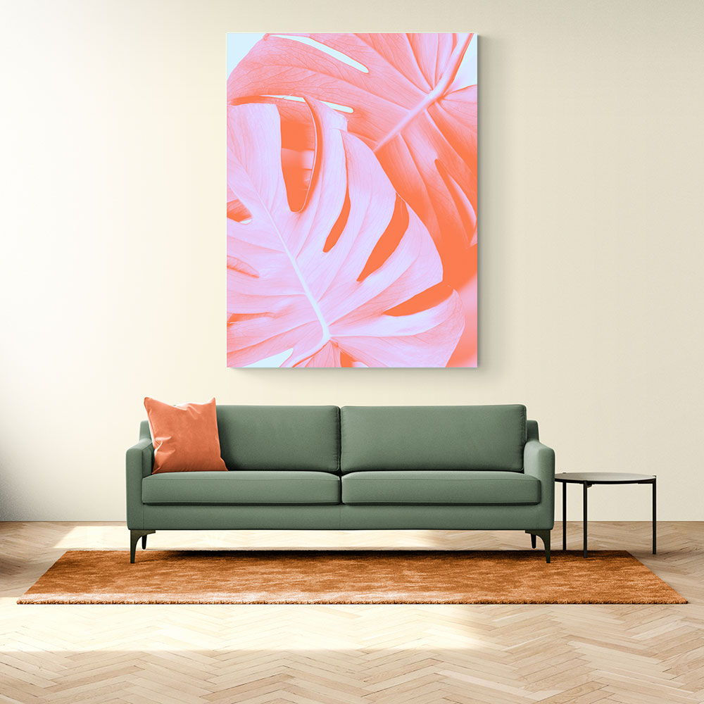 Monstera Orange 03