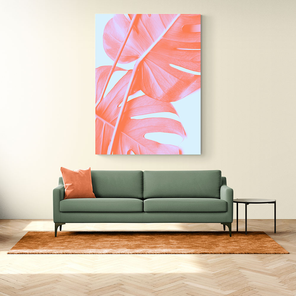 Monstera Orange 04