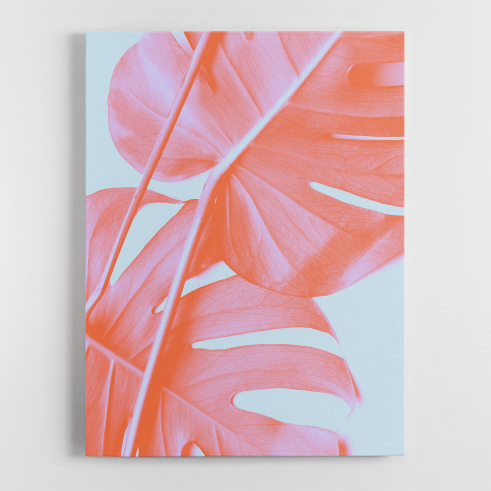 Monstera Orange 04