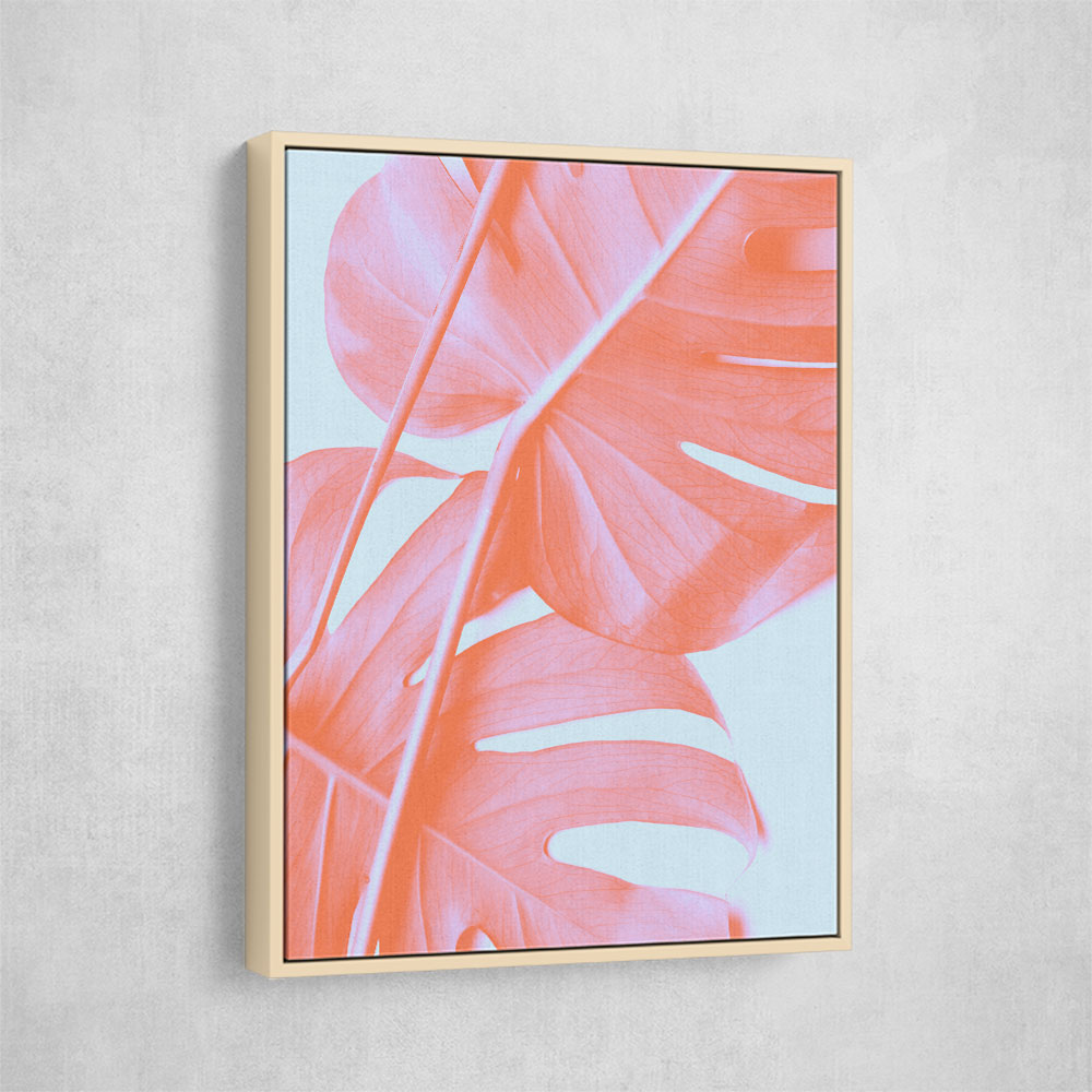 Monstera Orange 04