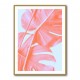 Monstera Orange 04