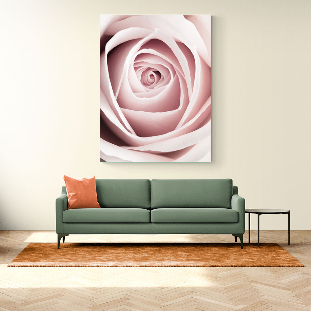 Pink Rose No 1