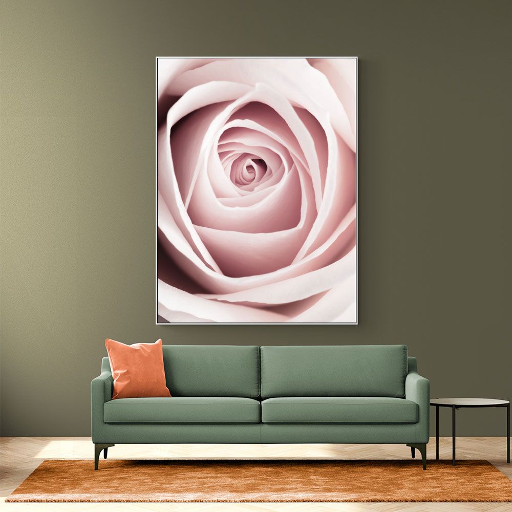 Pink Rose No 1