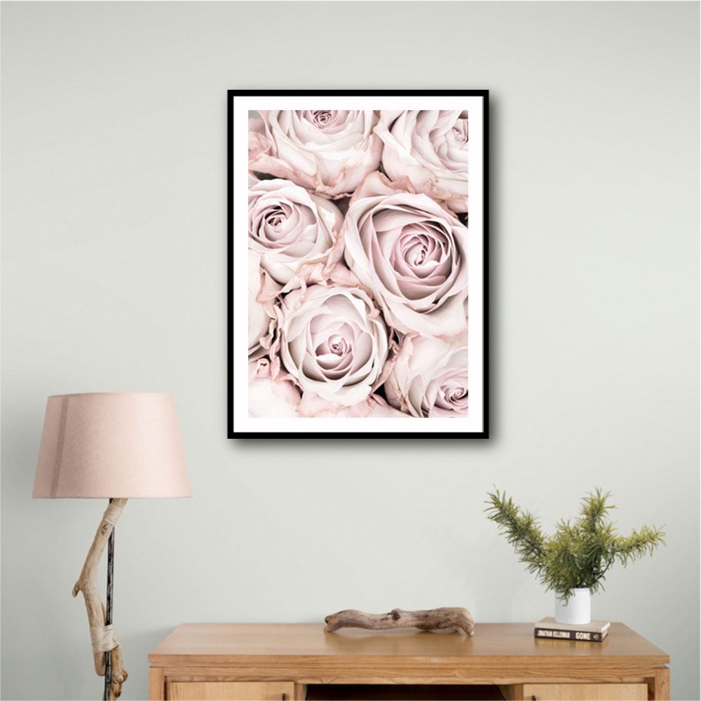 Pink Roses No 01