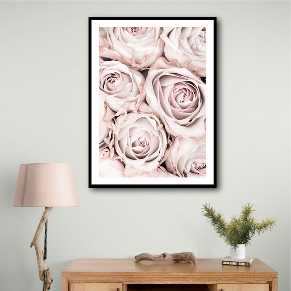 Pink Roses No 01