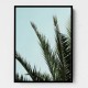 Palm leaves and sky 2