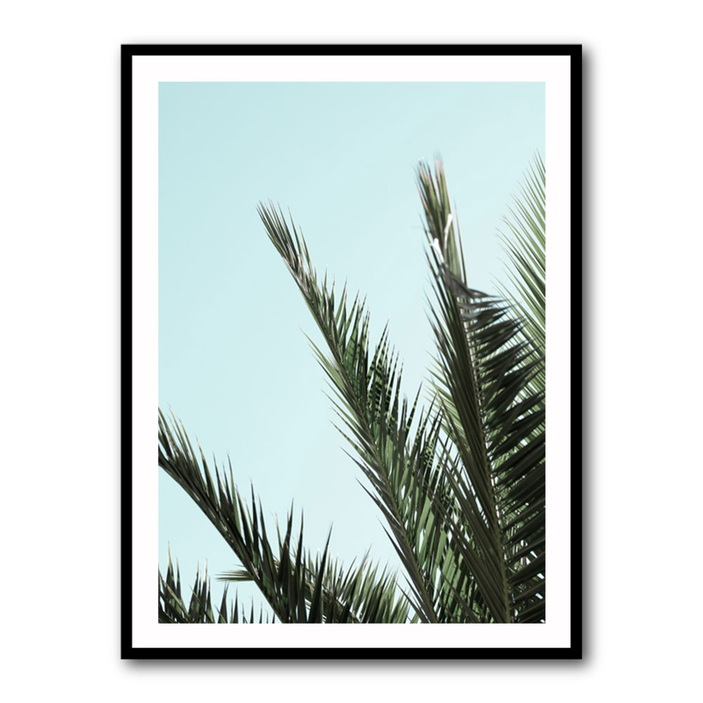 Palm leaves and sky 2