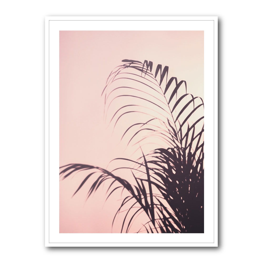 Palm Leaves 1