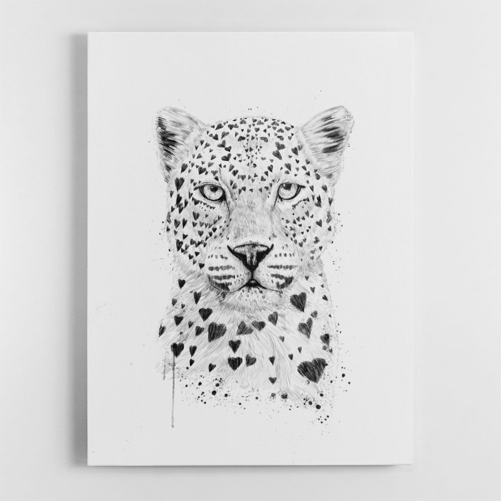 Lovely Leopard