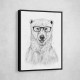 Geek Bear by Balazs Solti