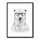 Geek Bear by Balazs Solti