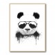 Stay Cool Panda