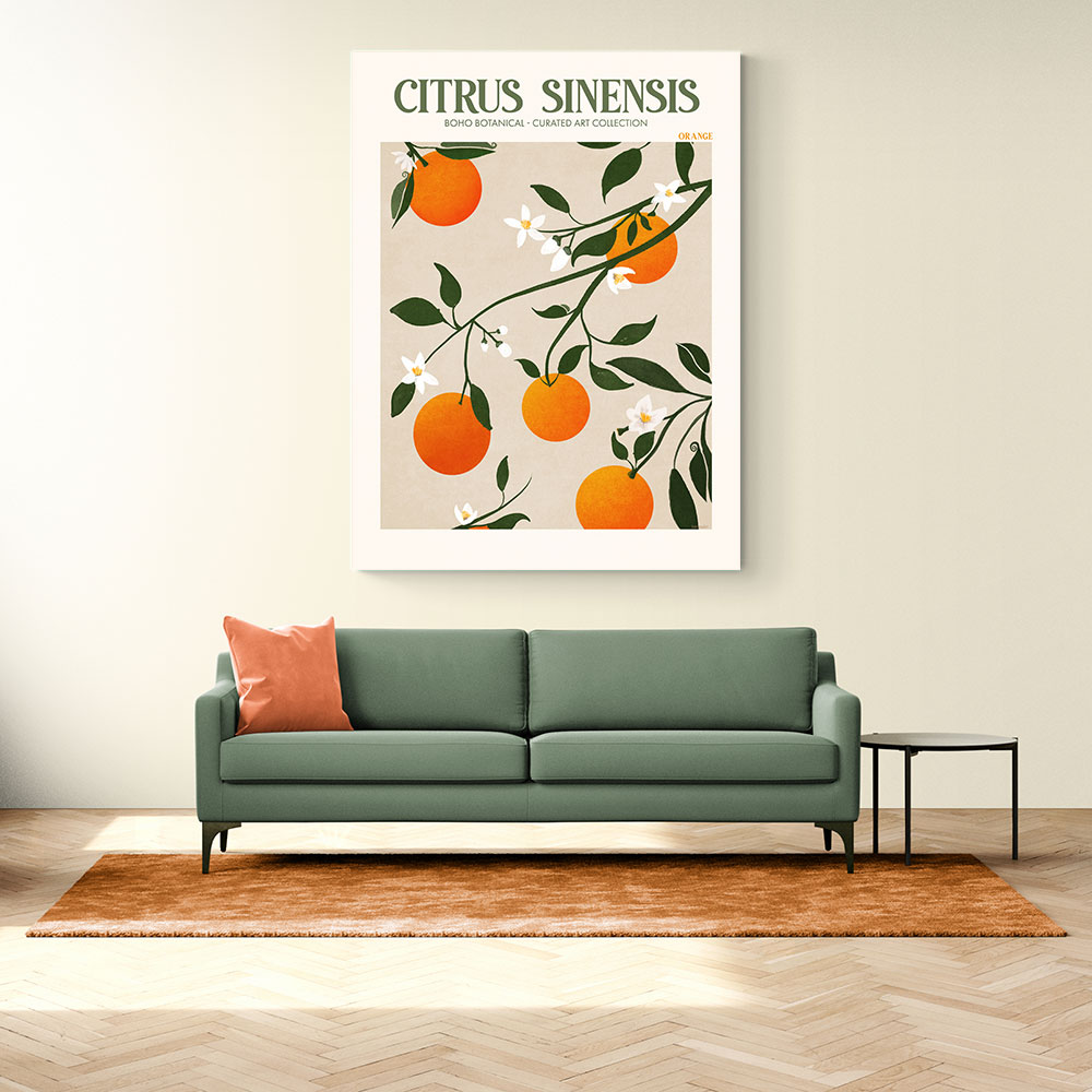 Citrus Sinensis