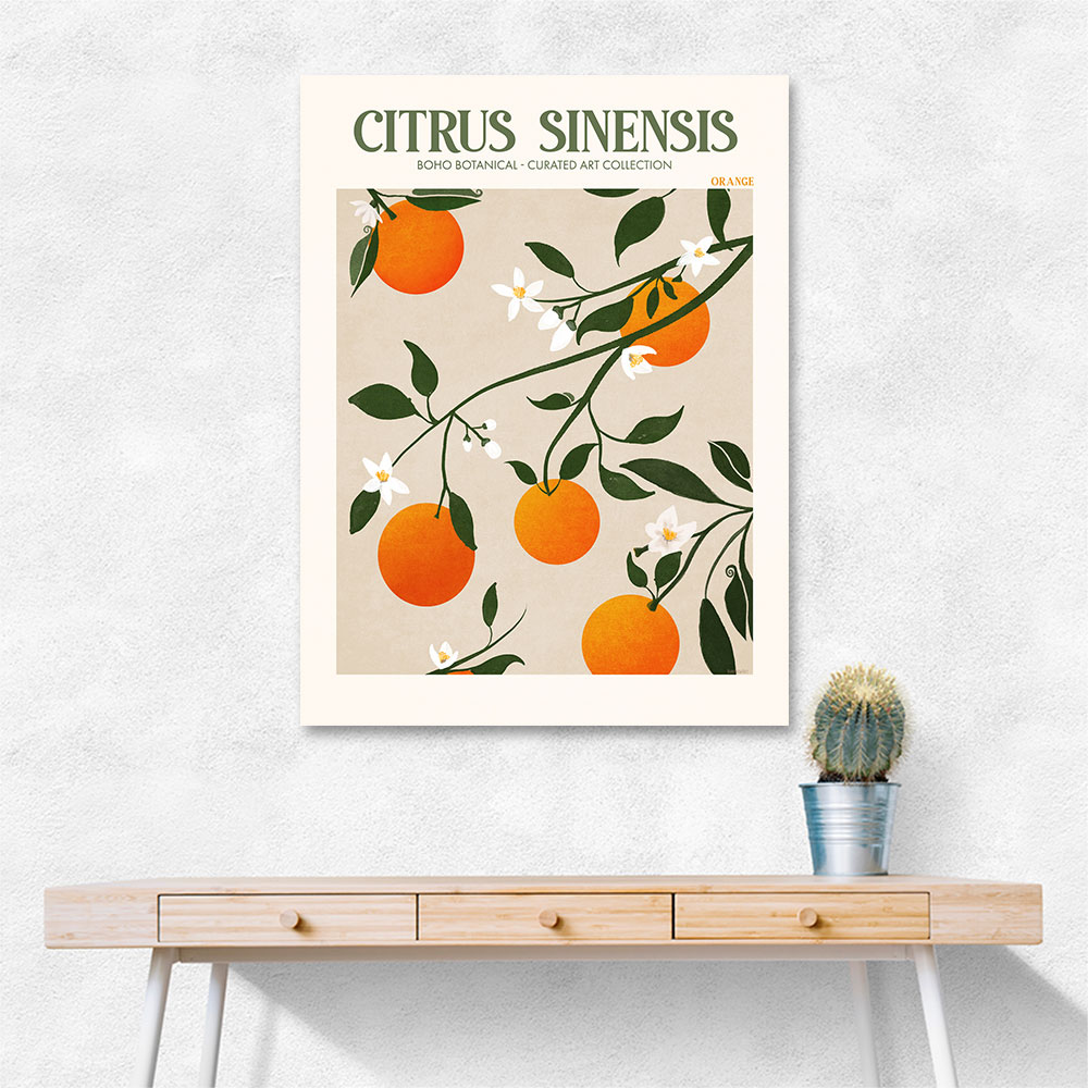 Citrus Sinensis