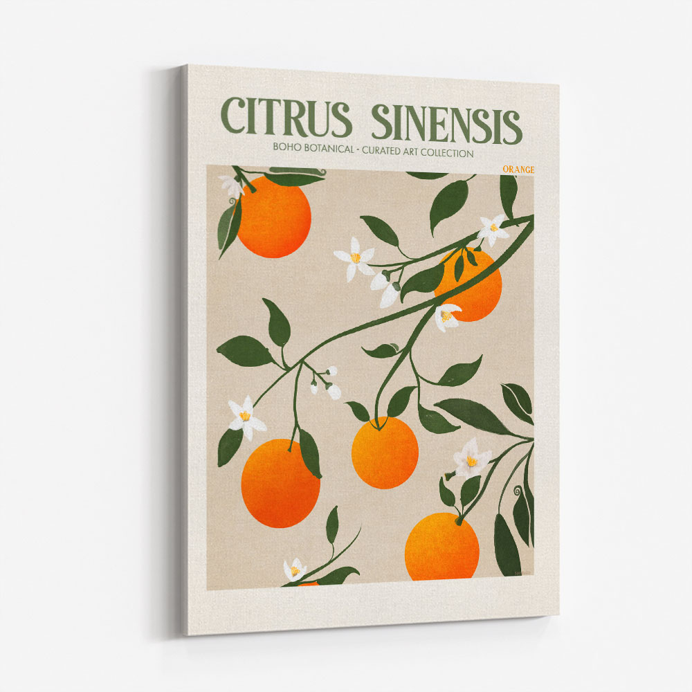 Citrus Sinensis